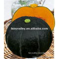Chinese Dark Green Pumpkin Seeds Vegetable Seeds For Sale